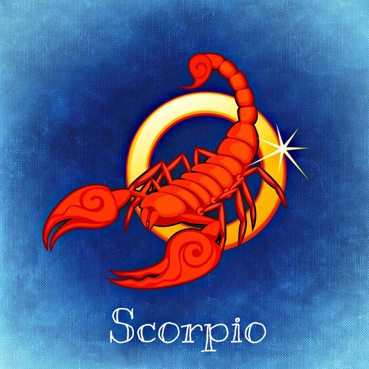 Le Signe Du Mois Le Scorpion